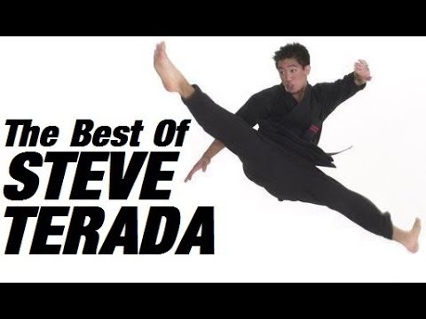 The Best Of STEVE TERADA