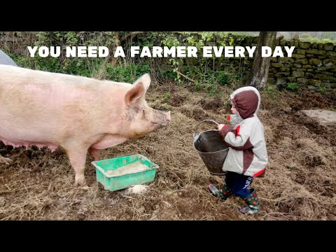 Marcilo Agro - The Italian Farmer