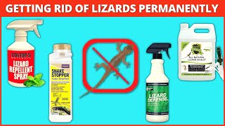 Best Lizard Repellents (How To Get Rid Of Lizards Permanently)