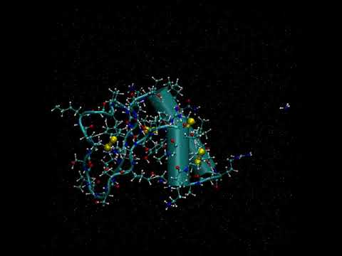 Understanding biological processes at the quantum level