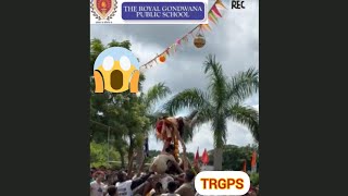 Royal Gondwana Public School Video