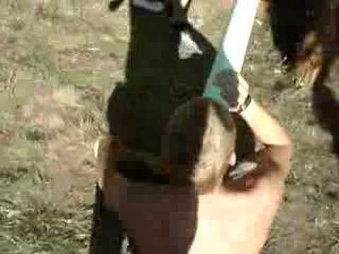 mathias drikker øl øl øl