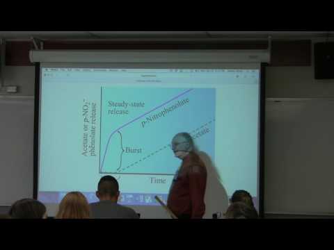 12. Ahern's BB 350 at Oregon State University - Enzyme Control II