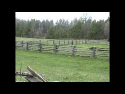 Battle of the Scheldt Part 1