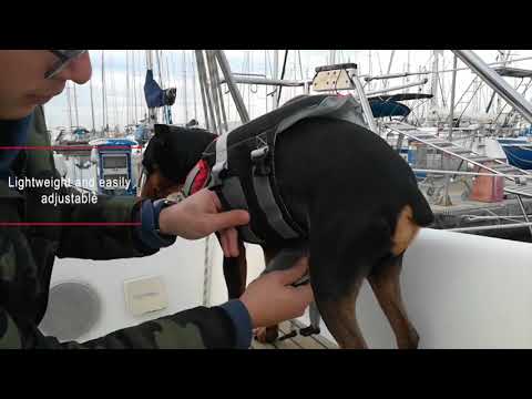 LALIZAS Comfy Pet - Köpek Can Yeleği