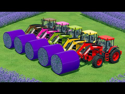 HARVEST AND TRANSPORT LAVENDER BALES WITH JOHN DEERE TRACTORS - Farming Simulator 22
