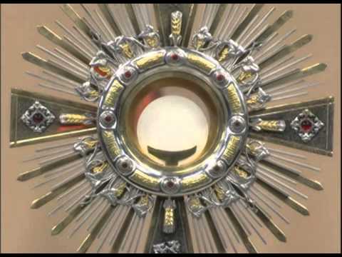 Você Pode ser Feliz - Pe. André Luiz Garcia - Oração pelos que se foram (Santíssimo)