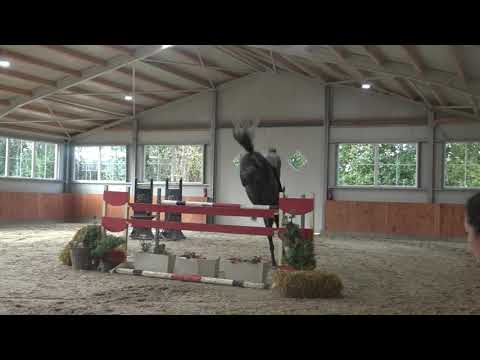 *SOLD 7y jumper by Cayado