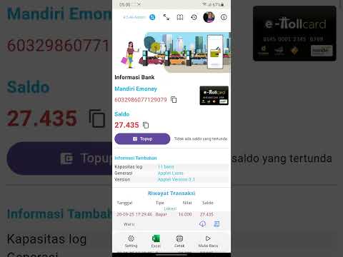 eChis Electronic money info