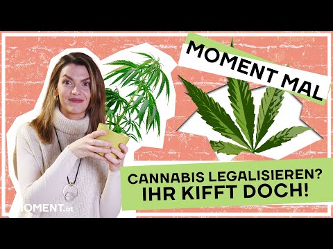 Cannabis legalisieren? Das spricht dafür - Moment mal mit Barbara Blaha