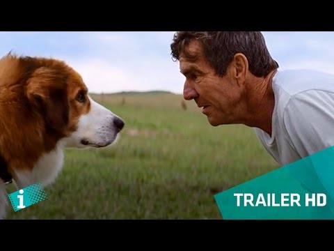 Quatro Vidas de um Cachorro - Trailer