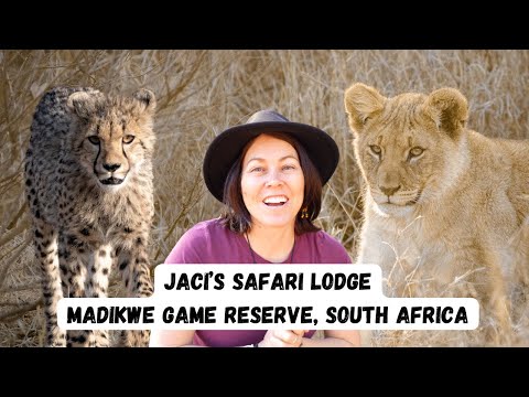 Jacis Lodges Review – A Luxury Safari in Madikwe, South Africa