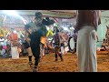 ஆசாத்நகர் சுடலைமாடசாமி திருக்கோவில�