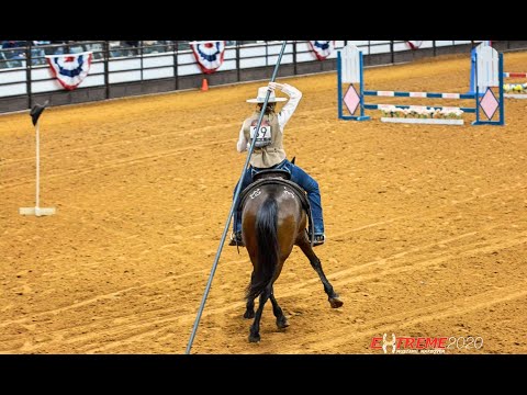 Extreme Mustang Makeover 2020 - FREESTYLE! Jacqueline Zacharias & Deo Volente