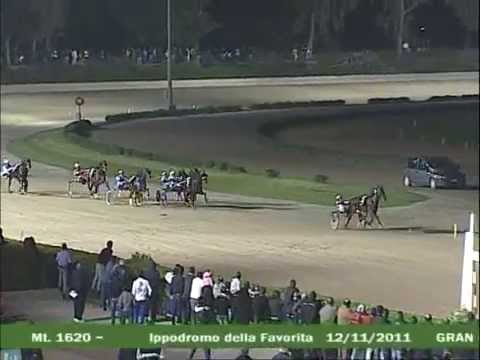 Nalda Nof e P.Gubellini - G.P.Trinacria 2011 - Mem.Gius.Migliore