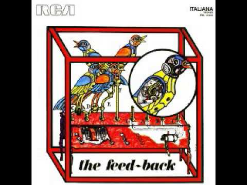 The Group   The Feed back