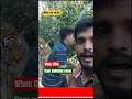The Return Of Tiger Full Episode 1 Tiger Wildlife Lion Animals Cat Cuteanimal Ghost