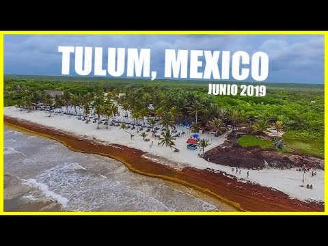 download lagu mp3 mp4 Sargazo Tulum, download lagu Sargazo Tulum gratis, unduh video klip Sargazo Tulum