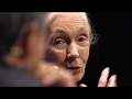 INTERVIEW Dr Jane Goodall DBE With Guy Kawasaki TEDxPaloAltoSalon
