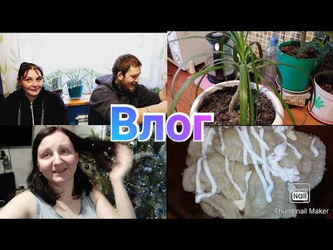 Семья без комплексов в гостях / Вареники с сюрпризами / Старый Новый год / Anika Z влог