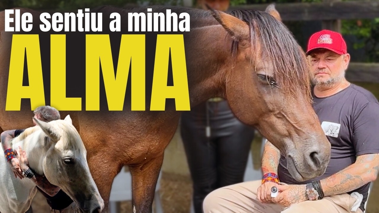 THE HIDDEN POWER OF HORSES! THE TRUTH NOBODY TELLS YOU!