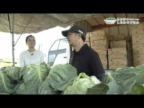 2025年5月2日(金)放送 キャベツ生産者の声