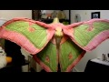 Animatronic Luna-moth wings 