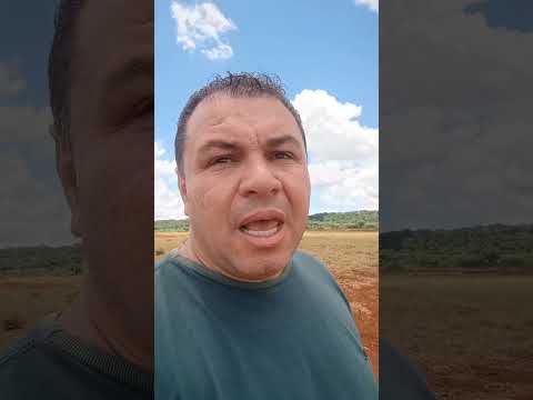 Chácara a venda várias Cidades de Goiás vendas 62 99330.9873 Goianira Caturai Araçu