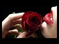 David Benoit Sarah's Theme