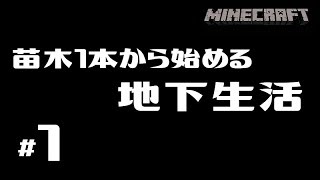 【MineCraft生放送】苗木1本から始める地下生活＃１【生放送】