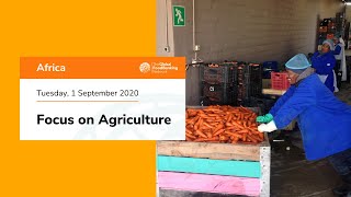 Bancos Alimentares Africanos - Foco na Agricultura