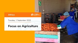 Bancos de alimentos de África - Enfoque en la agricultura