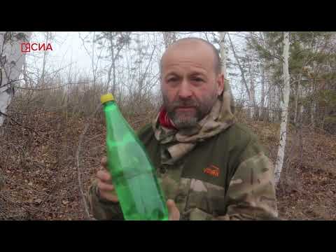 Видео. Как добыть березовый сок без вреда для дерева