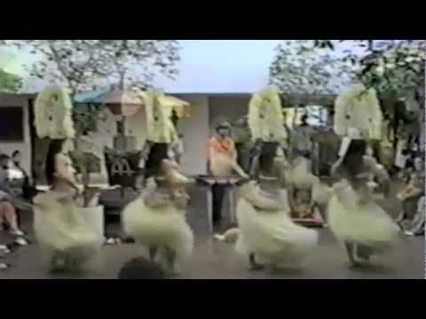 Mainland Paradise Paea Otea pt17