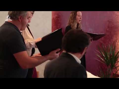 Mesoviti sastav   Zvezda mira