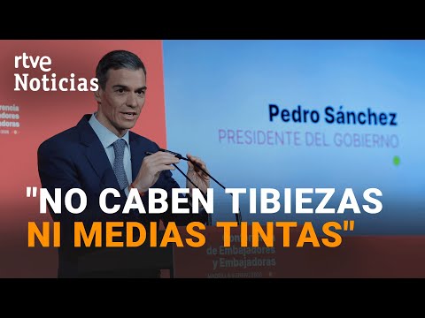 Pedro Sánchez calls for firmness against Trump and offers Spanish troops for Ukraine and Palestin...