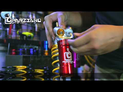MARZIANO  M81 suspensions setup