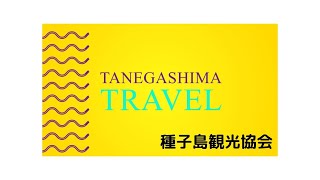 動画3