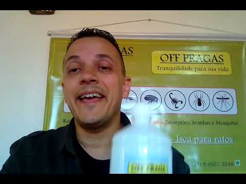 Linha de produtos e agenda de dezembro 2018