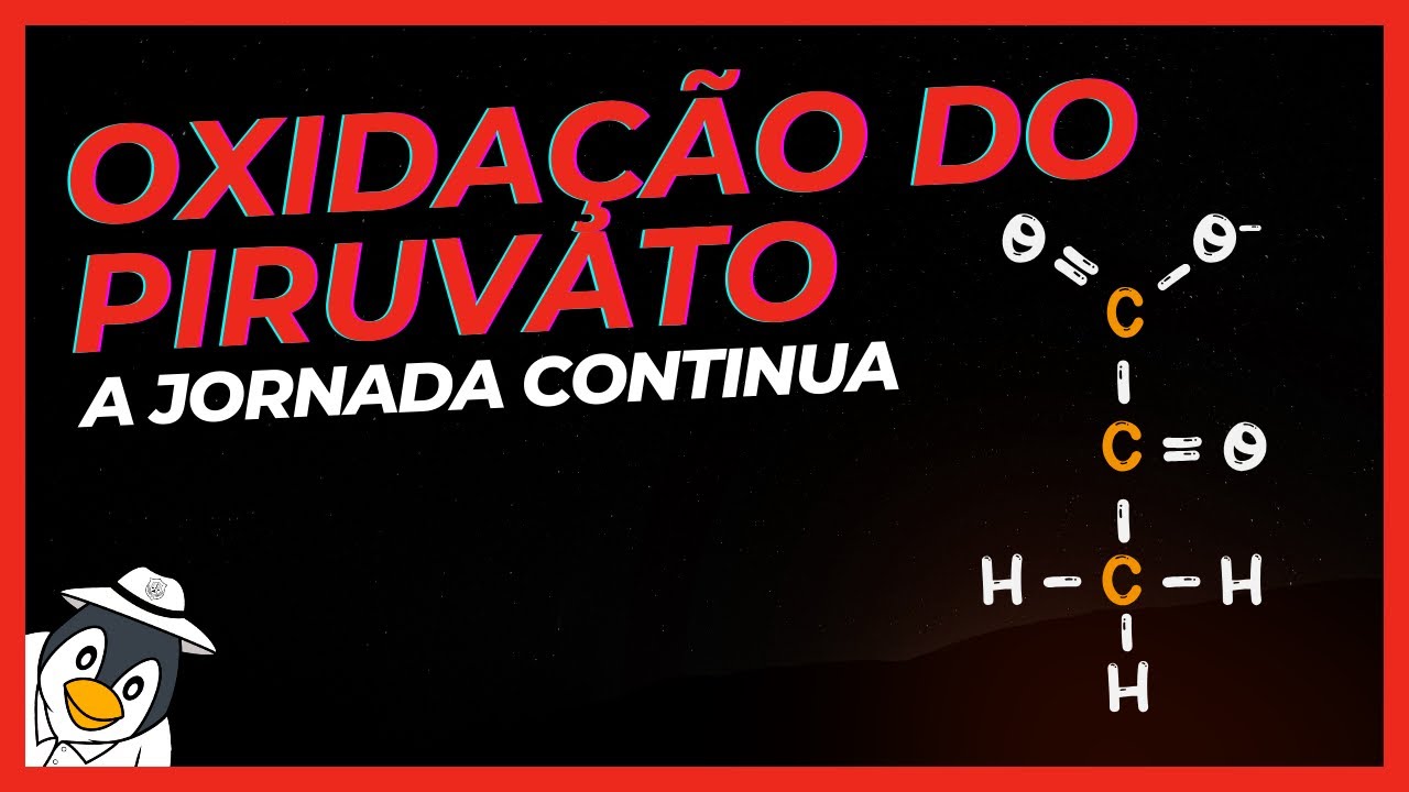 Oxidação do Piruvato: O Segredo por Trás da Produção de Energia nas Células