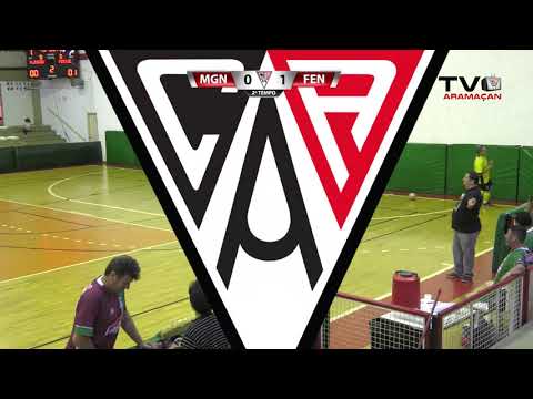 Magni Bordo x Fenice Multimarcas - Futsal Masculino - 2 Tempo