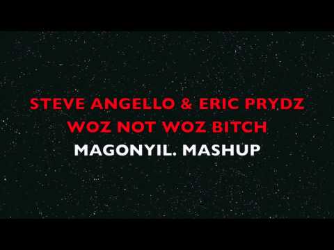 STEVE ANGELLO & ERIC PRYDZ & AKON-WOZ NOT WOZ BITCH MAGONYIL MASHUP