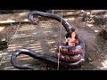 Anaconda INSANE Full Final Scene 4K