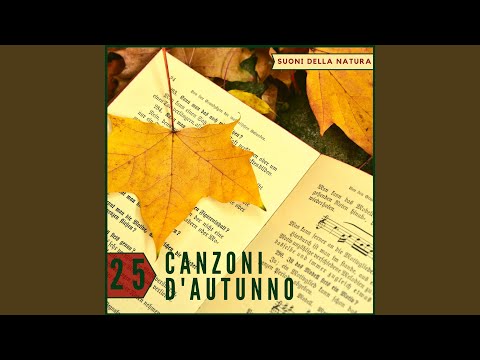L'Autunno è Qui