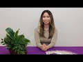 Lisa Nguyen MSc Kinesiology Western University
