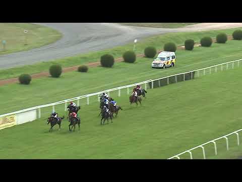 Dostihy Chuchle Arena Praha 26. 7. 2025 - 1. dostih - Cena Derby Clubu Prague