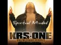 KRS 1 The Struggle Continues Feat  T bone
