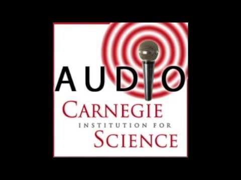 Why Are Some Cells More Cancer Prone?