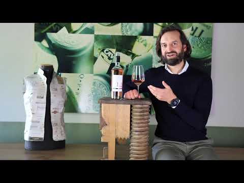 Wein erklärt: Primitivo Salento IGT Rosato 14 Contessa Marina