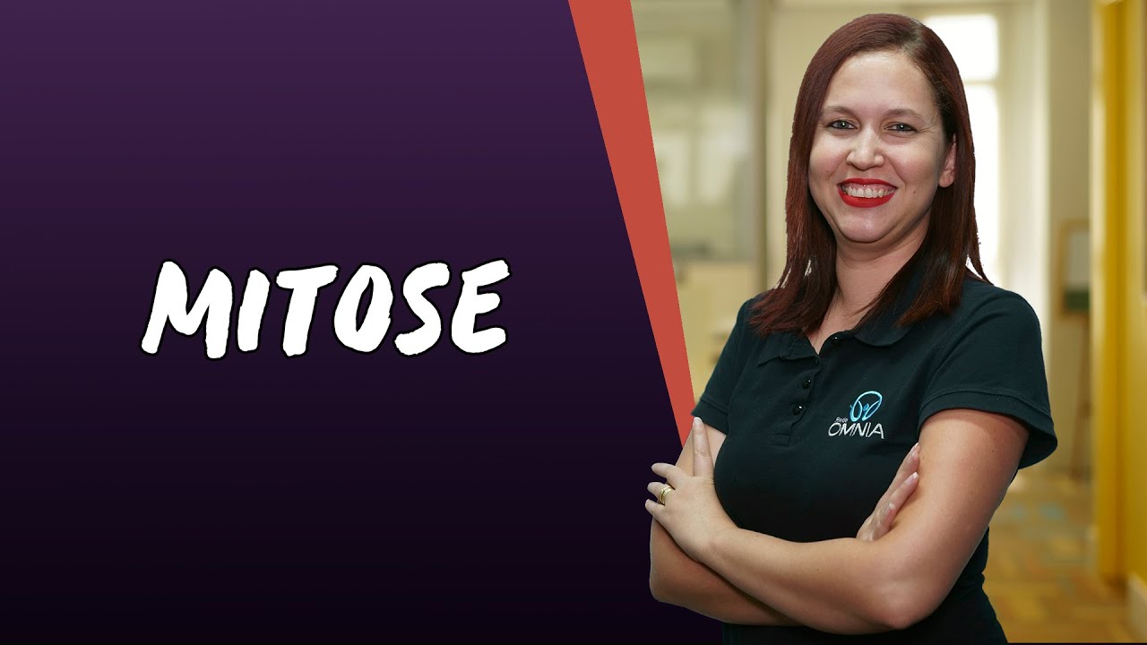 Mitose -  Brasil Escola